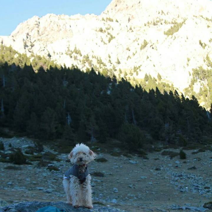 4ffb629f b2e1 4455 963b b3ea36b0b864 1580653444247