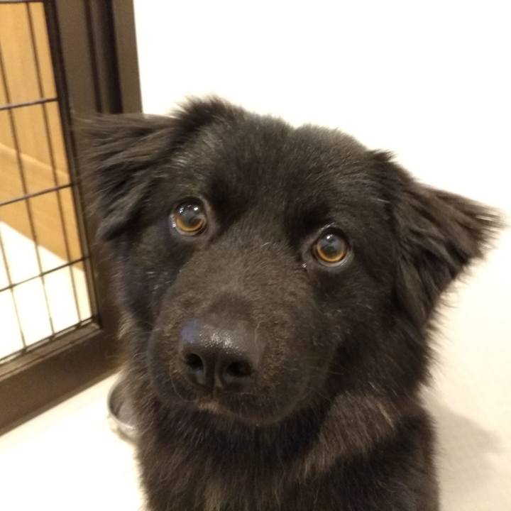 4ffb6f54 89c0 4b6c b620 3bb8bd97fe46 1557068890383