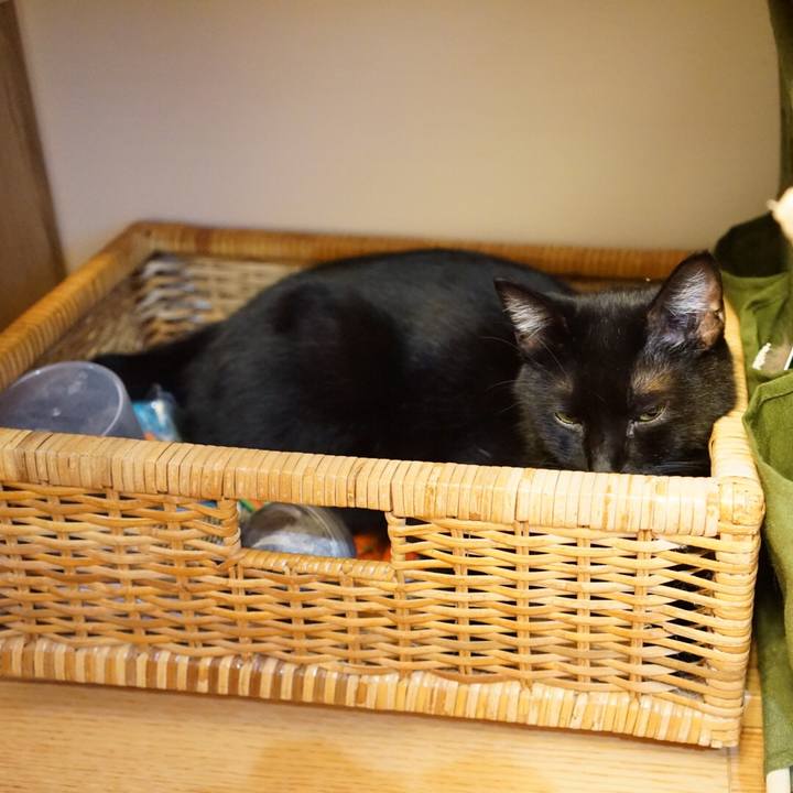 4ffb7a83 ffa1 4bd0 badf 0cd931a1489f 1539092330159