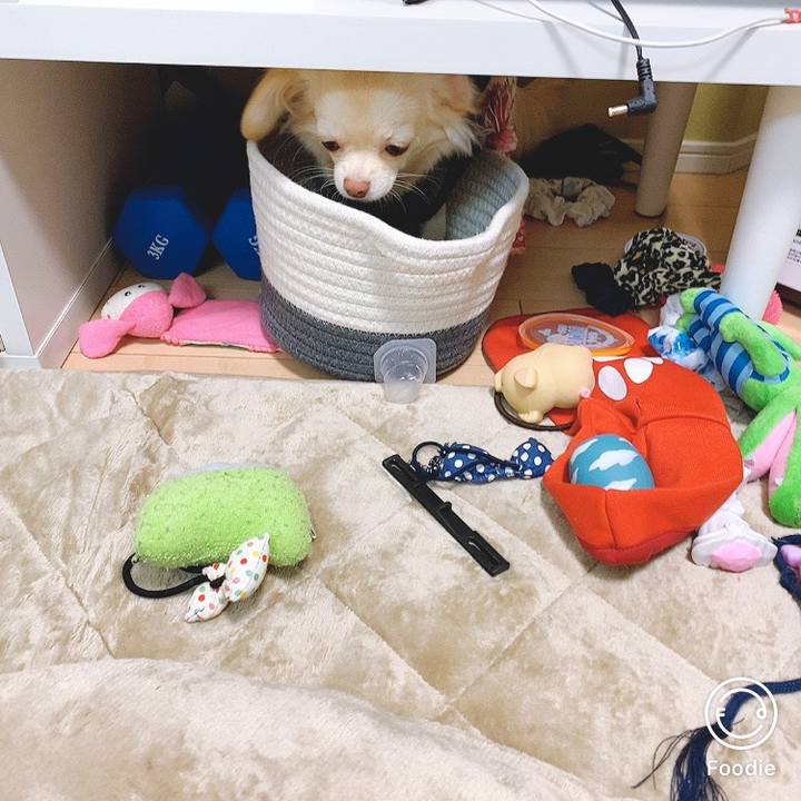 4ffbab2d 555a 45dd b13a 791e22685a54 1604299984800