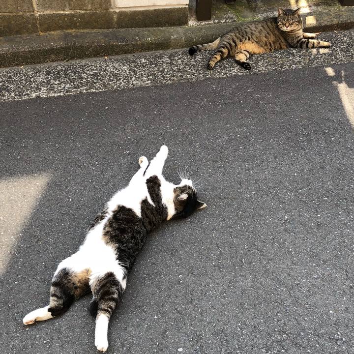 4ffc0adf 86cb 4fee 90bd 404de56529f7 1524206705498