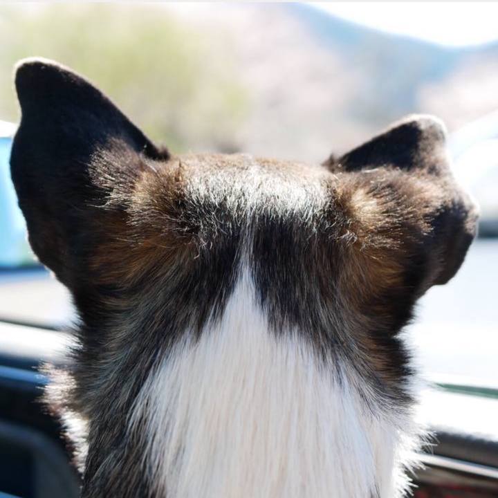 4ffc1eeb 55b7 4fa3 9861 3194289b6392 1744696030840