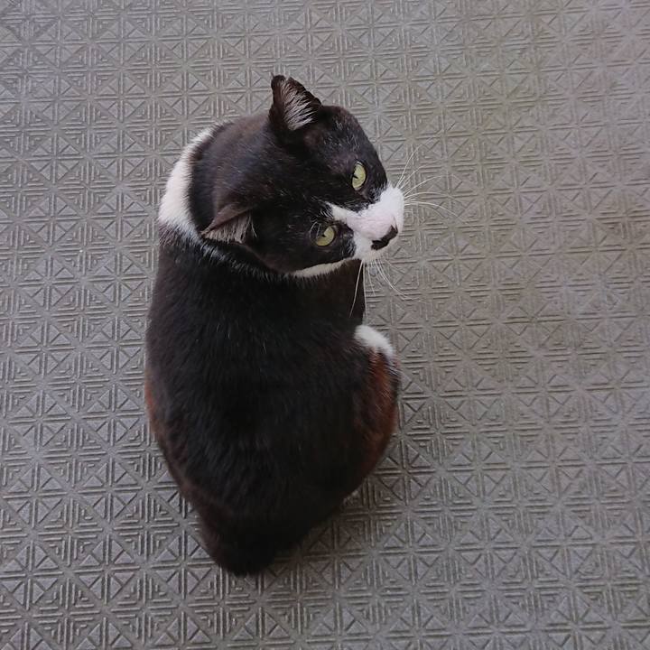 4ffc2b8d 71ce 4e33 a43c 9a137fa9d81e 1620104557454