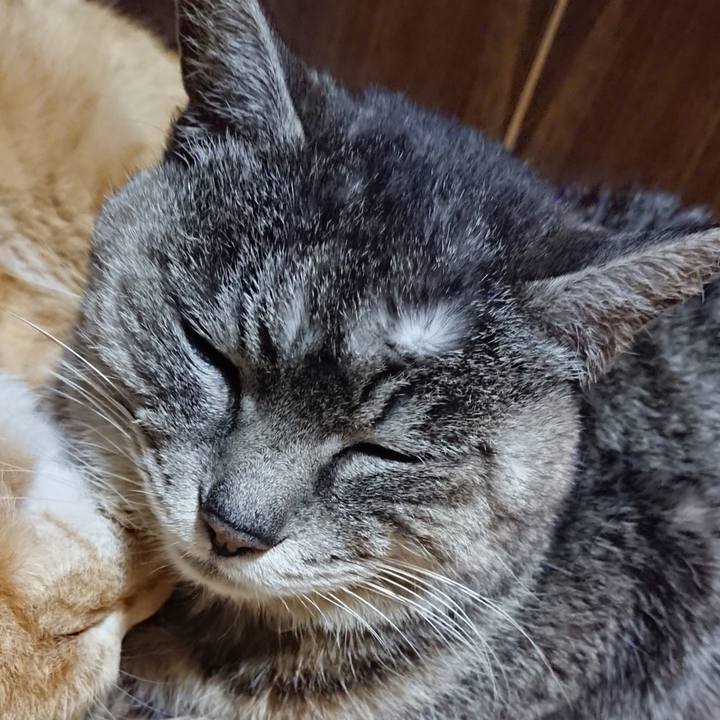 4ffc44ce 3333 41c1 b2fa 68d73e30c084 1584712008615