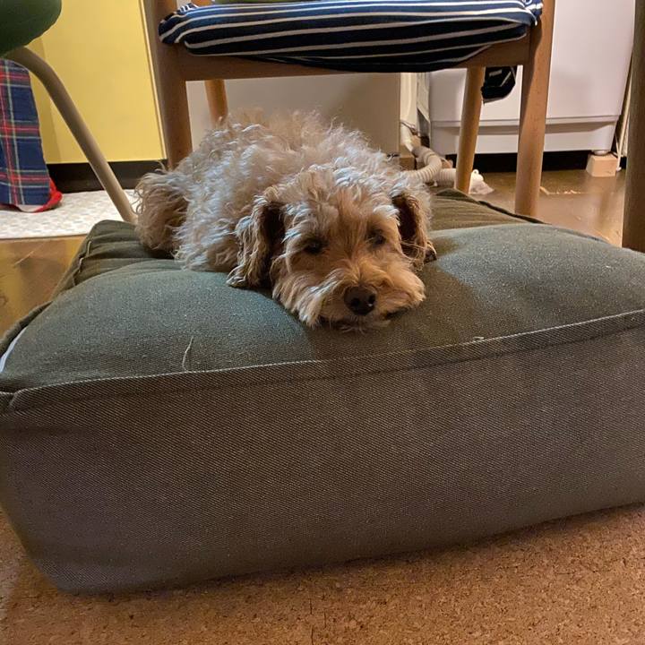 4ffcaed6 6e10 4082 9484 bf98add93edb 1666607660608