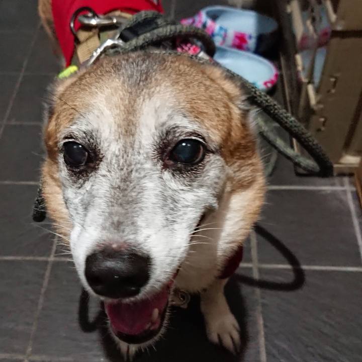 4ffcdc55 a774 41a2 bab3 ed7086fb1f2e 1601043681741