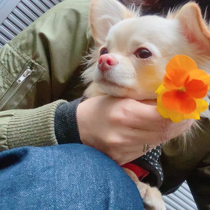 4ffd0fb0 57de 4685 a56f cc36357a3acd 1614335973497