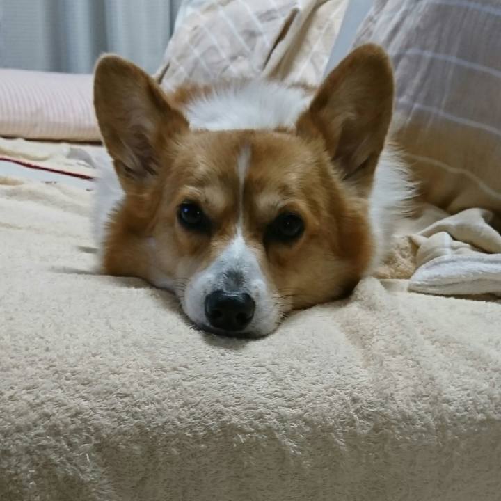 4ffd3504 583e 4900 ba67 df42f56b36d3 1550884384176