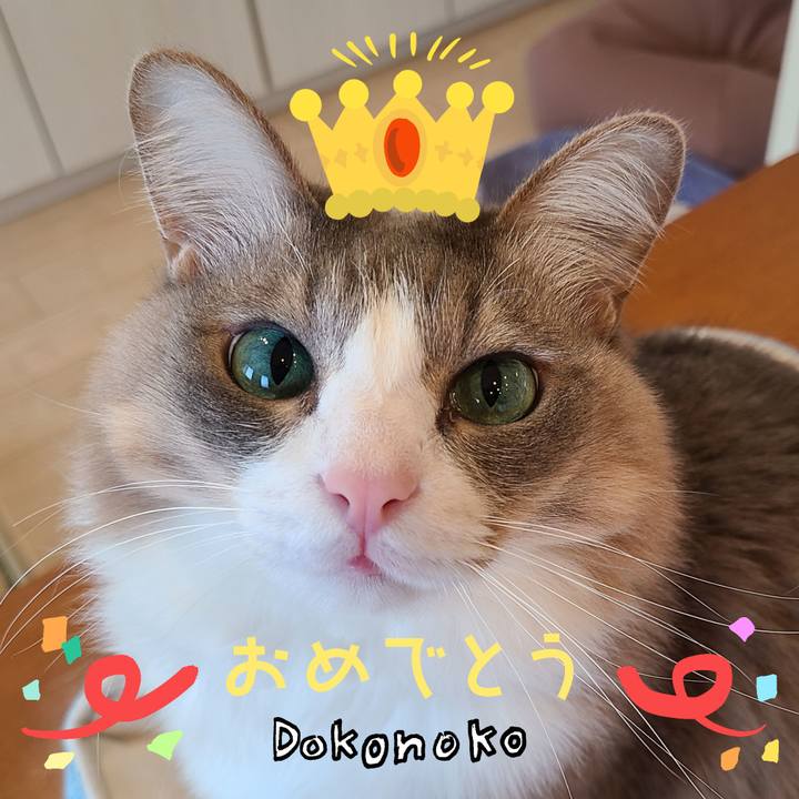 4ffd3bf9 fb00 42e3 a0ec e78fa8e3bca2 1685934501701