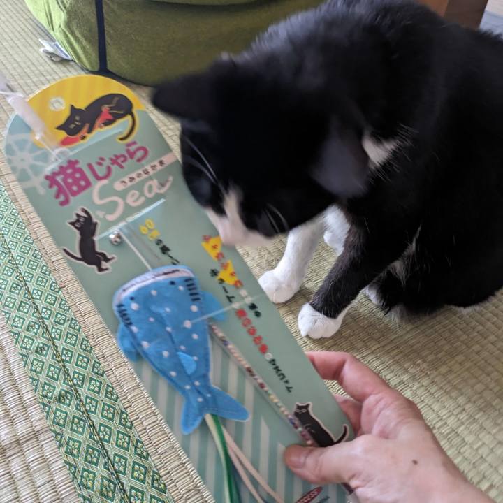 4ffd5716 2c4f 447b bba3 dc563b171c02 1689651462090