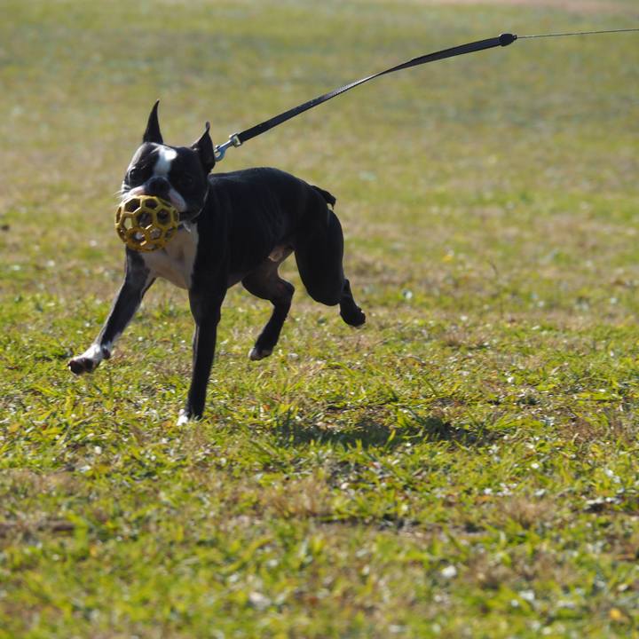 4ffd5e14 436e 4643 aceb c4816fcbc5f3 1577761574874