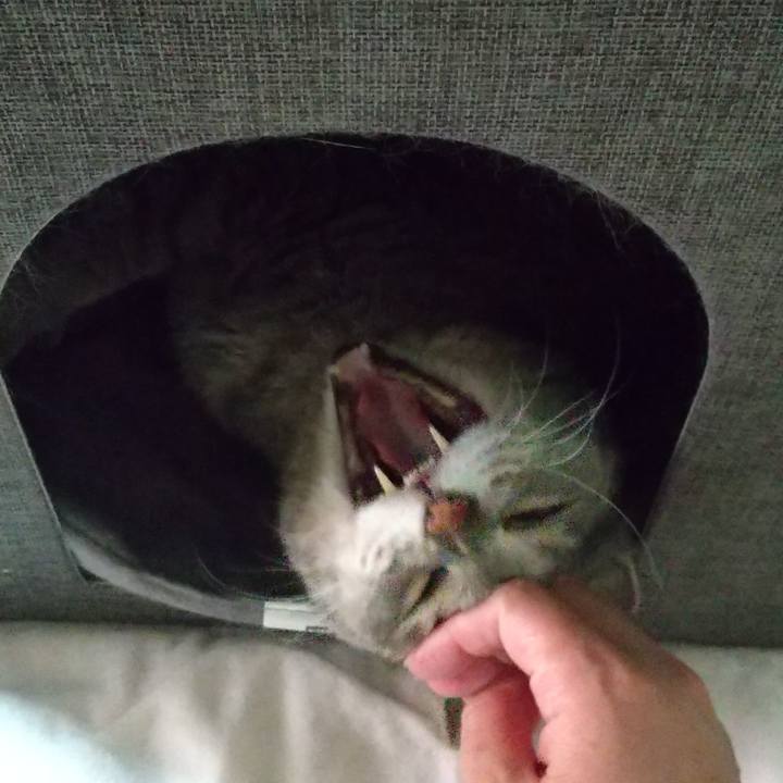 4ffd63f2 e48f 4444 bc4d fd2e7869da8c 1685519900042