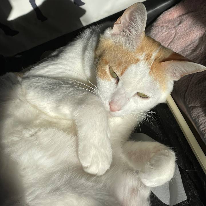 4ffd80c0 65db 4ad0 8872 41d90ec87207 1646213140966