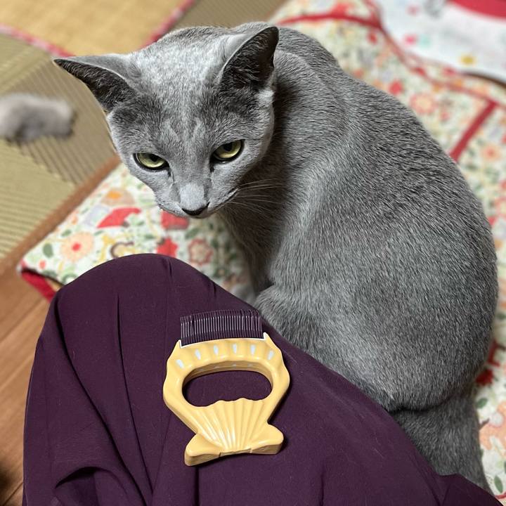 4ffd8d26 a880 4cdd 86bb f4f8ed0ecabf 1659796220621