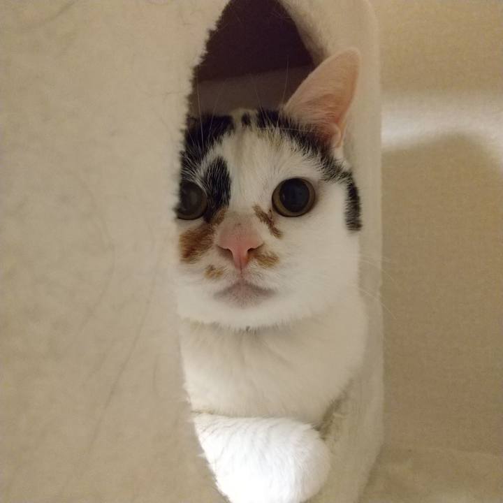 4ffda435 8e2f 44b1 8327 74d9f17cd511 1648720408439