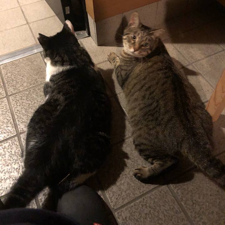 4ffda717 3f31 4283 b8b0 5ac8135d0a9f 1532260432555