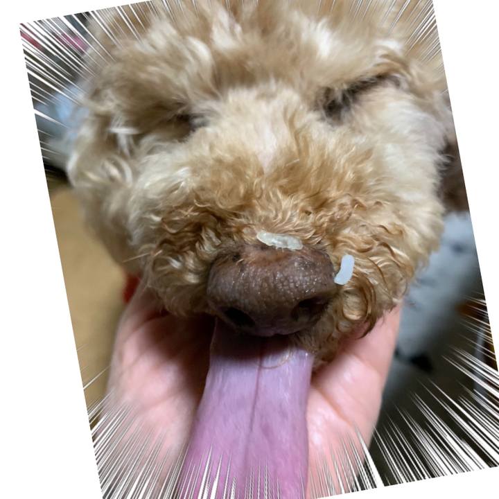 4ffde842 af0d 492e b0df d3596ae90bd7 1619179263902