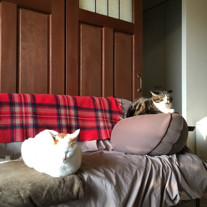 4ffde895 5ef3 48c9 a41f c0899c13ce49 1516320833278