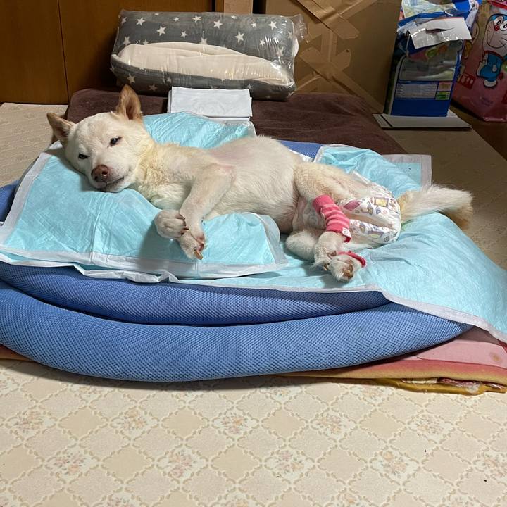 4ffe1abc 8917 43c0 9de0 c4b2e3442f18 1674226540724