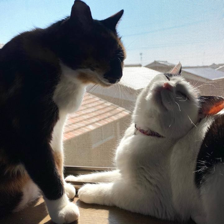 4ffe1ae3 985d 4938 ae25 b7f7cf92b761 1645934860975