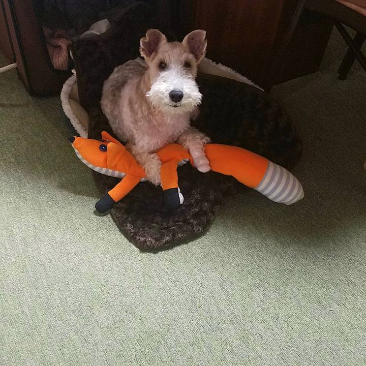 4ffe91e7 7724 4c15 9b69 18385b3b68a5 1519475483368