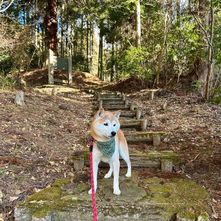 4ffed7c8 cda2 4c58 9276 eb62a333bd8c 1737027710348