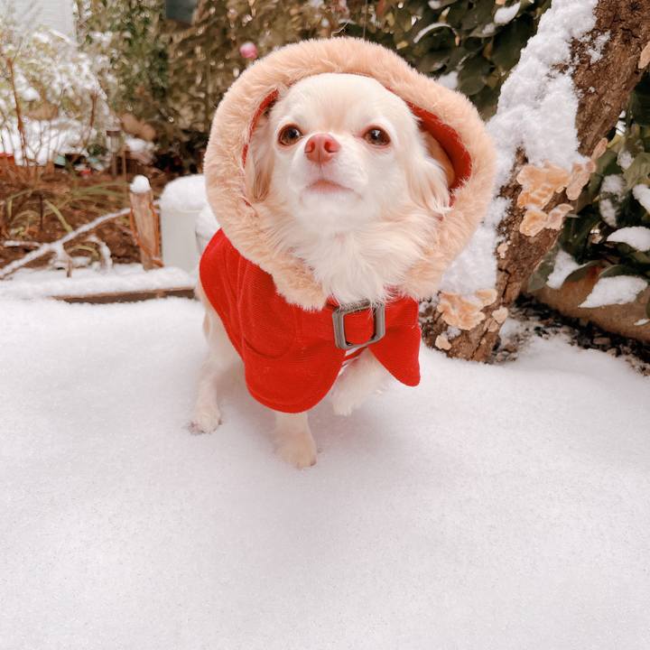 4ffee439 1caa 4022 a0b9 0e5f2f12925b 1676018298187