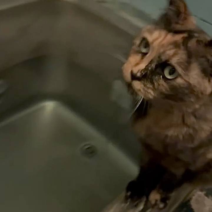 4fff428e 2f9b 463e b3a4 812d06faa524 1752955557808