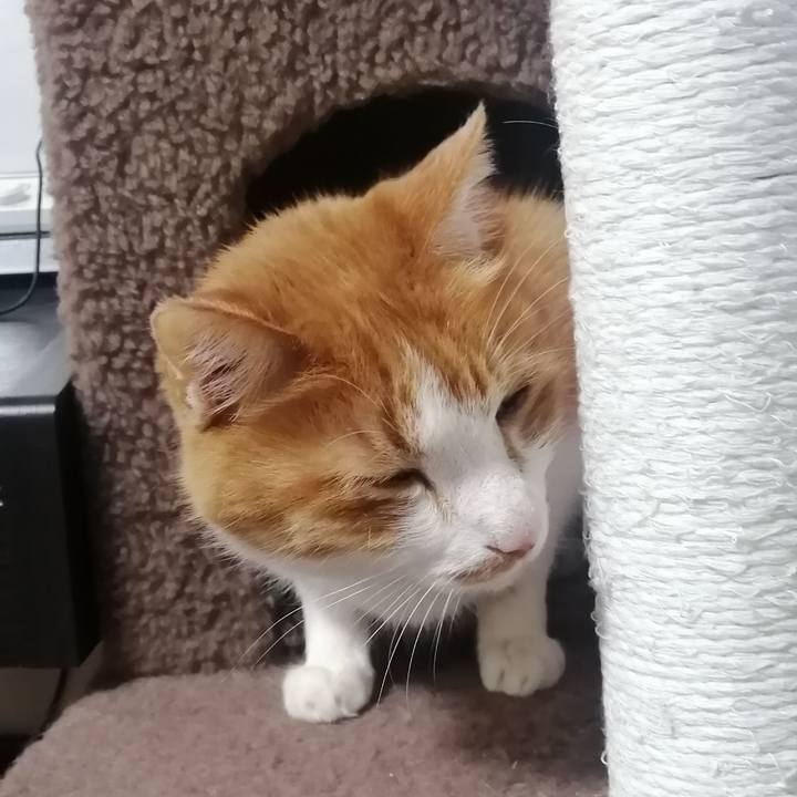 4fff7d52 de86 472c 989d 6db918e7978c 1648678324563