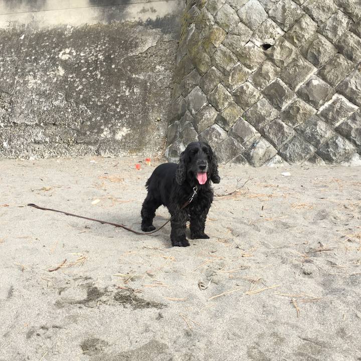 4fffdf18 bcb9 4eb7 aca1 eec483c2dc88 1545828684622