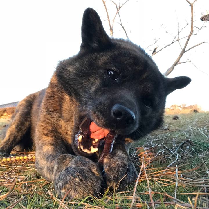 4fffe7ae 860f 42a6 81bf a84f684507ca 1520847972988