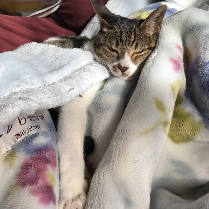 500008c3 1f6a 4fb6 a1d0 06774c3558a6 1513733936510