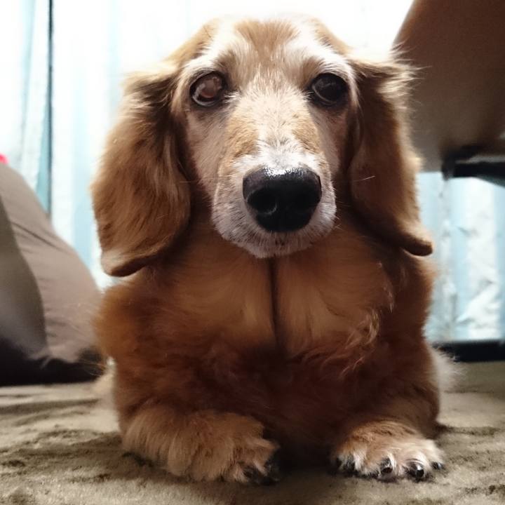 500034ae a03a 401f 9ec7 968fdcb264ea 1631729011372