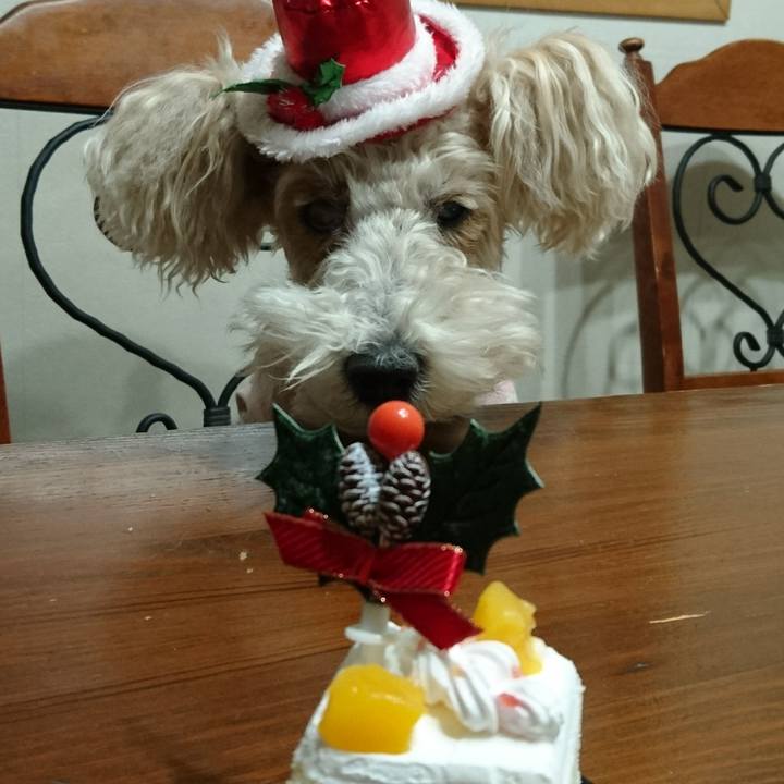 50007eea 9ec0 4cb7 97bc 1dfafc78ec50 1577242279466