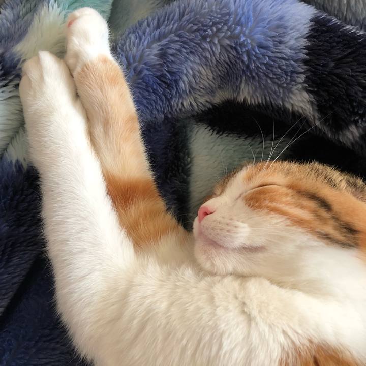 5000a548 40af 41ba a1e6 0091b8542dcf 1514962751885