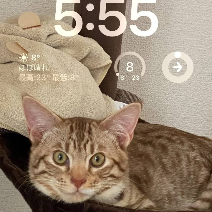 5000ac0a 4ecf 472f a3c0 e749405e376b 1681424854414