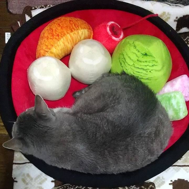 5000ccc5 7b9b 47e4 8d70 6538b3662285 1668084572478