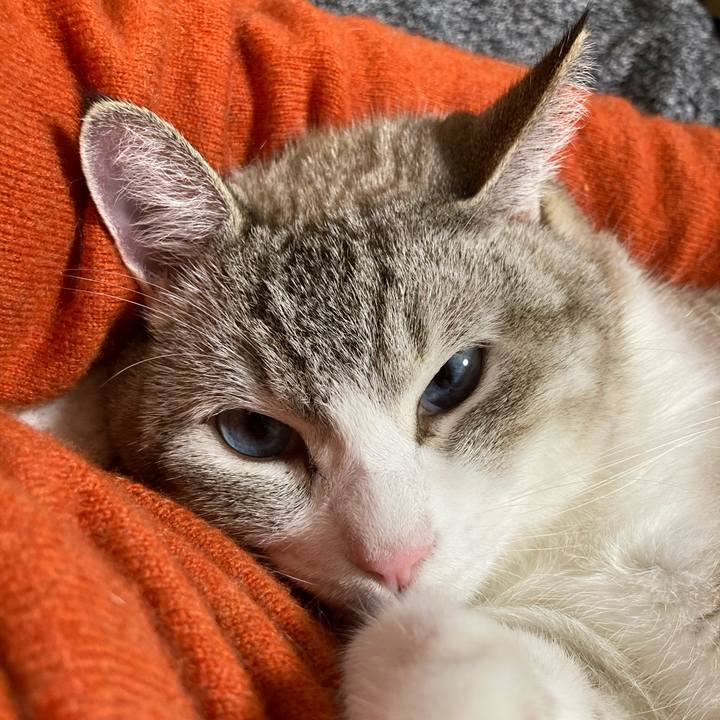 5000ec6a e4b6 47c1 badb c3689367c87f 1602411041586