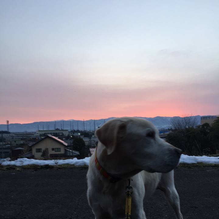 50017589 af88 4f0a 9616 b82c4630d594 1514072762888