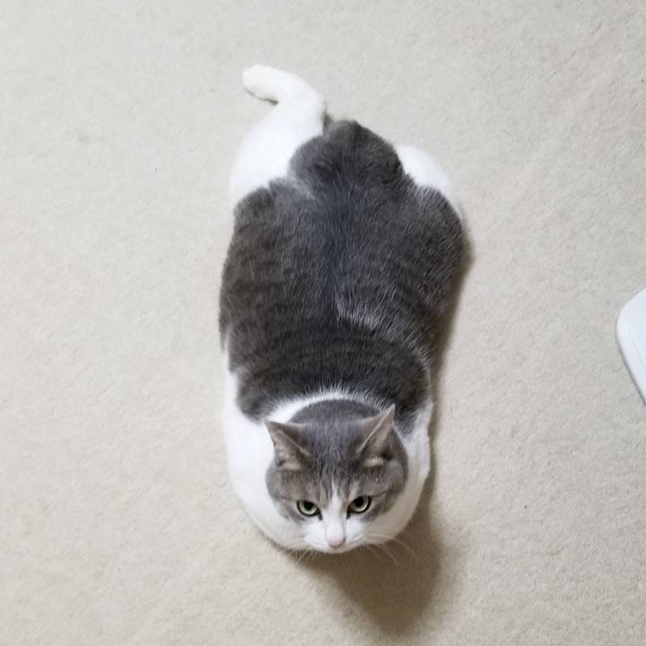 500179a6 0236 43a5 becb 14712674b989 1598708253476