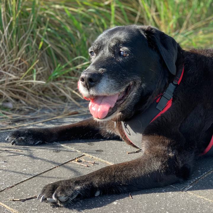 50017de3 3d8d 4ca3 b3eb aed9e30d5f51 1633139669355