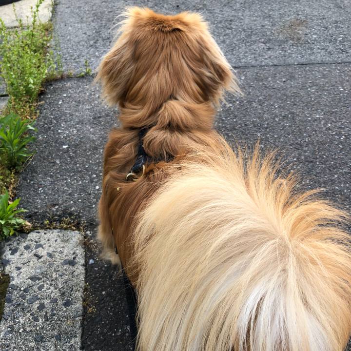 5001aeaa 08d8 46af be2f d4d99452b61a 1525989561915