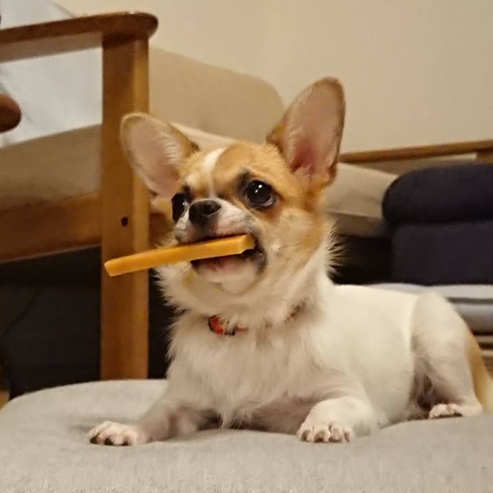 5001b352 3495 4e4e 8924 ebd9654ca098 1532865589224