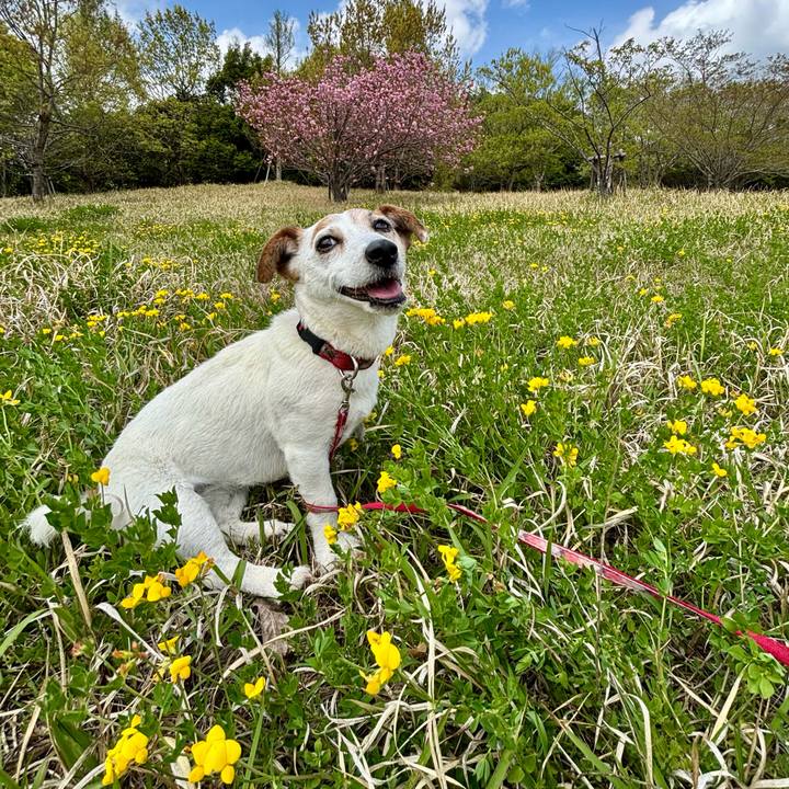 5001b3e1 7a46 48aa 9081 0cb88db072fb 1776339549983