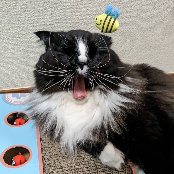 5001b96f a964 4a3b abc4 e7267dfd0d10 1680268404441