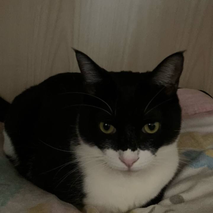 5001ba9b 48d9 45f5 905e ef1a4a72e86d 1615438305969