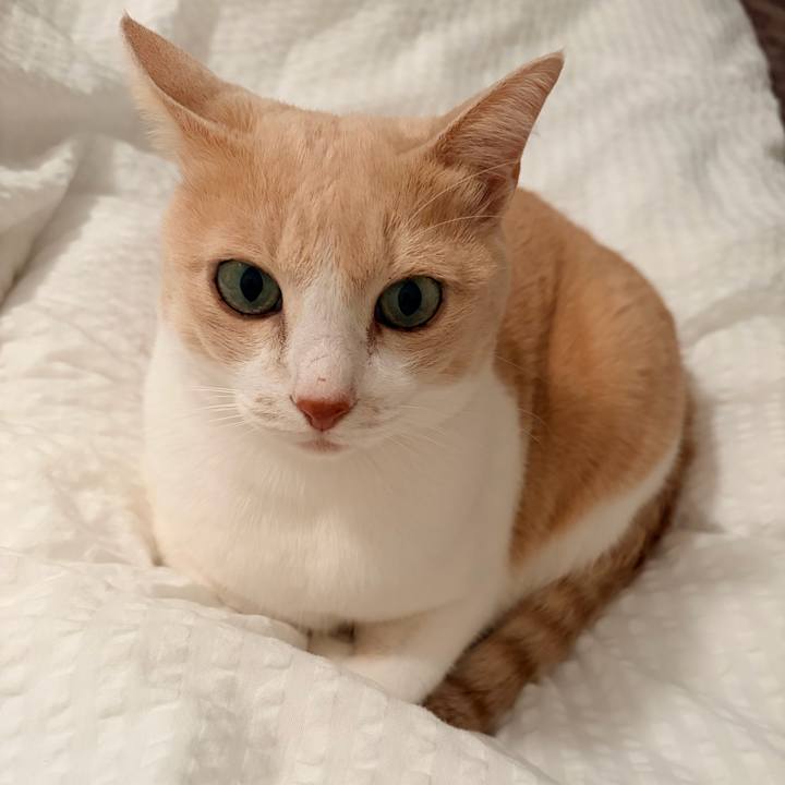 5001ff8b 705d 4f08 9859 0f46ffebe850 1765539338525