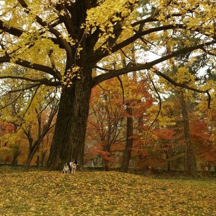 50020199 7210 475d 8363 225ba83f65a7 1543566981258