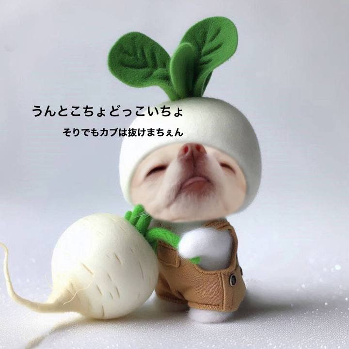 500212a1 2c75 45b4 8907 5dbcda588212 1718886546685