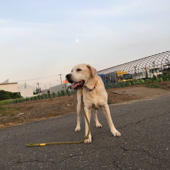 50021785 f680 4107 a187 c4e39efd607b 1532517676144